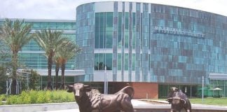 University of South Florida