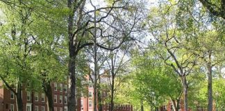 Harvard University