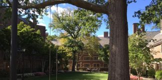 Yale University