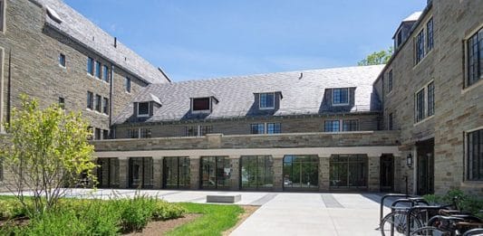 Here Are The Ivy League Law Schools Ranked Collegegazette