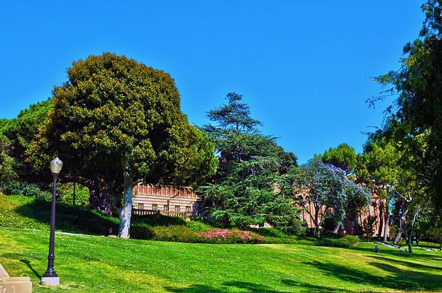 UCLA Law School Acceptance Rate EDUCATIONTODAY