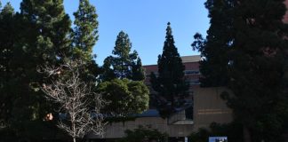 UCLA Medical School