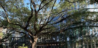 Tulane University