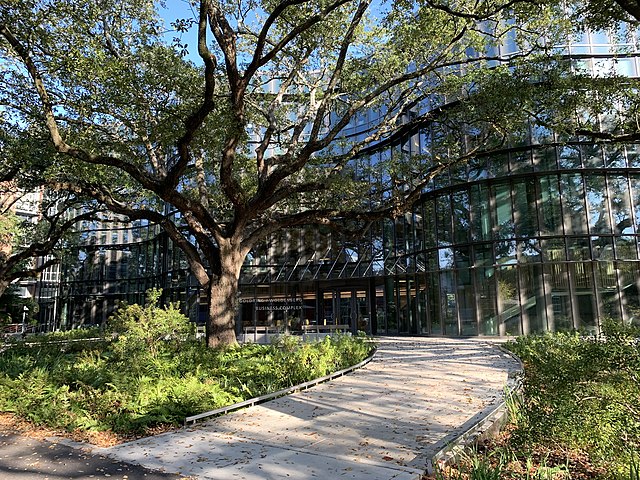 Tulane Ea Acceptance Rate EducationScientists