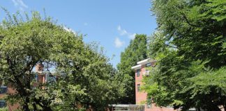 Harvard University