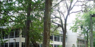 University of Florida Levin College of Law