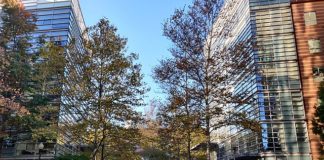 Northeastern University